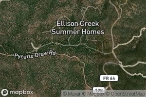 Lewis Creek