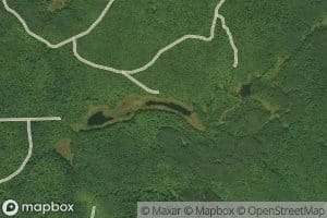 Pickle Pond