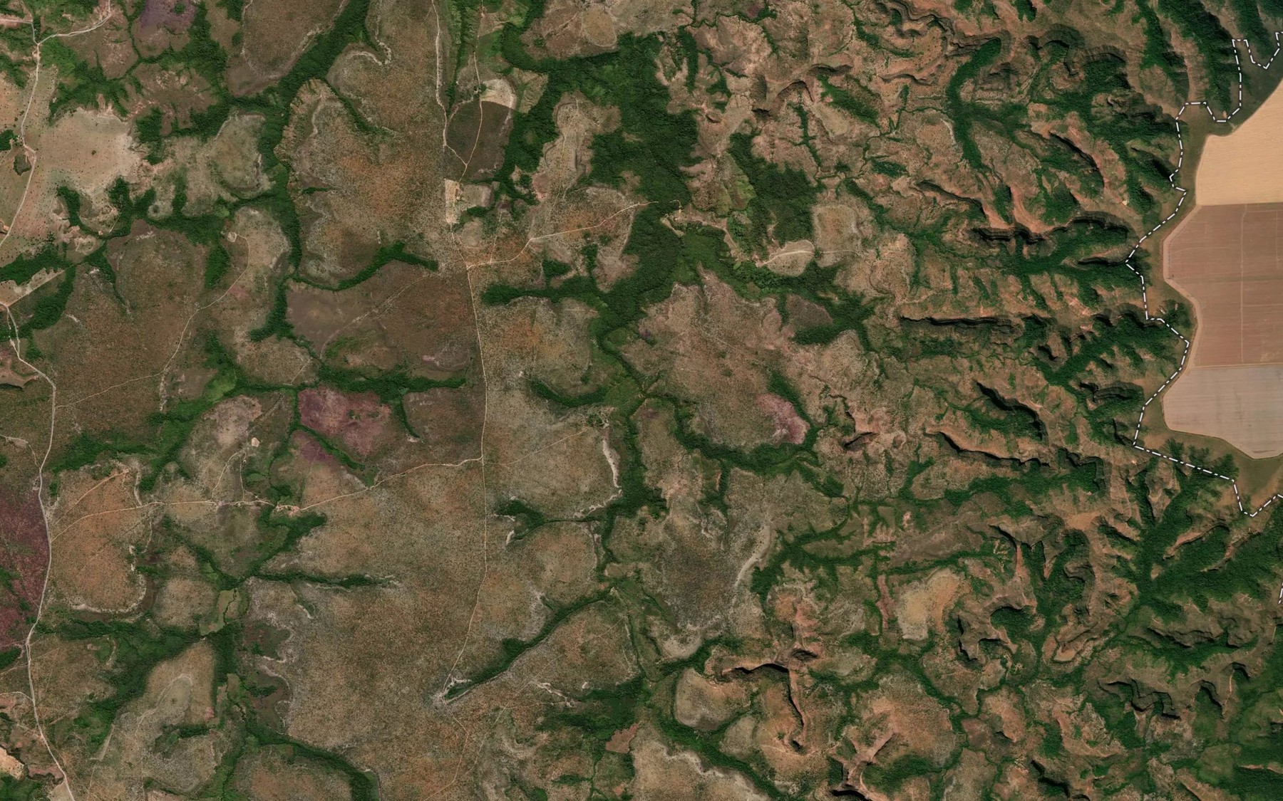 Satellite map of the Ribeirao da Gameleira