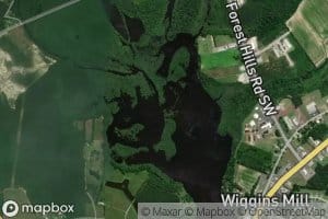 Wiggins Mill Reservoir