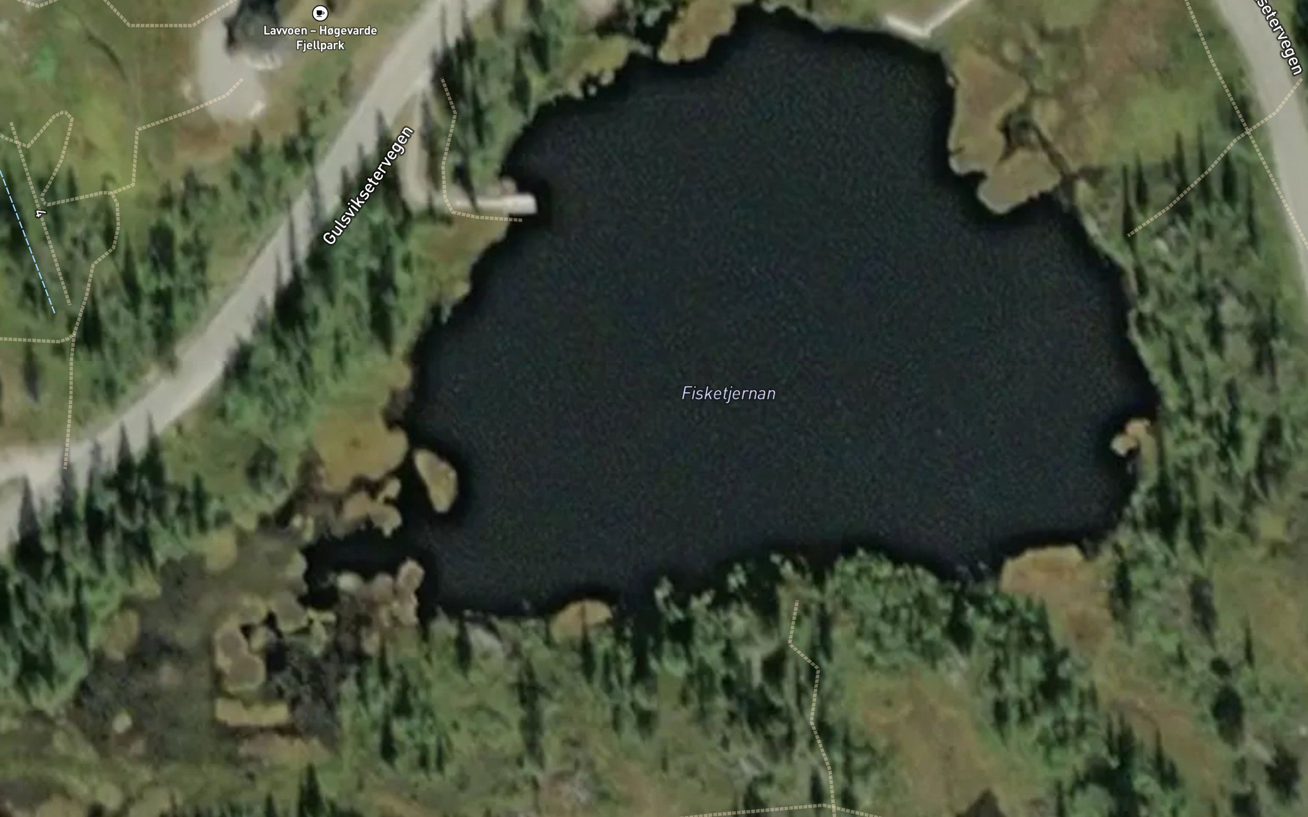 Fisketjerna