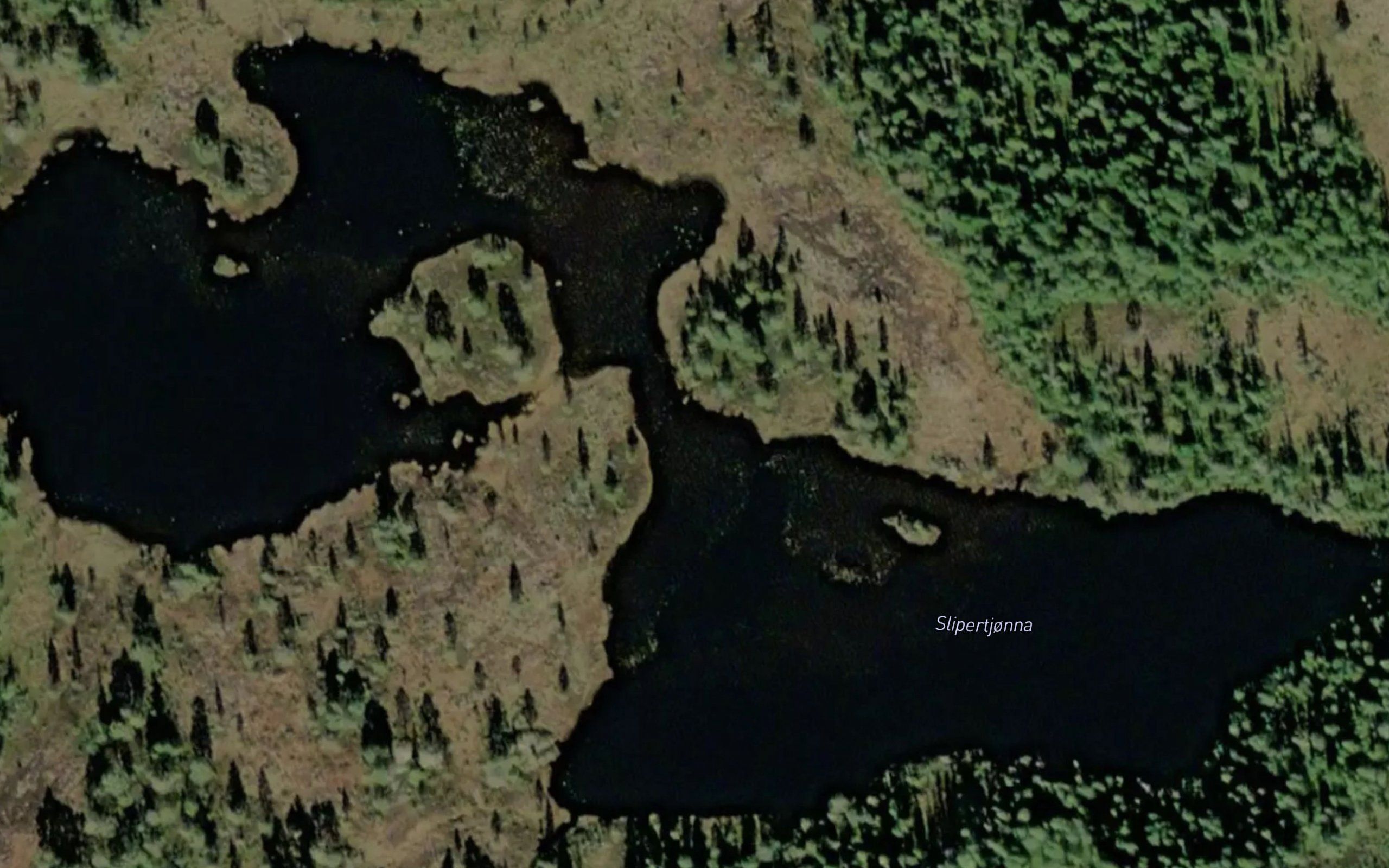 Slipertjorna