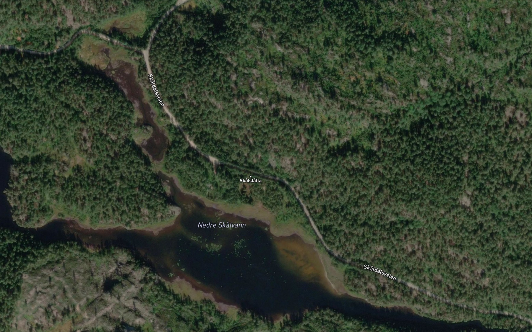Satellite map of the Nedre Skalvann