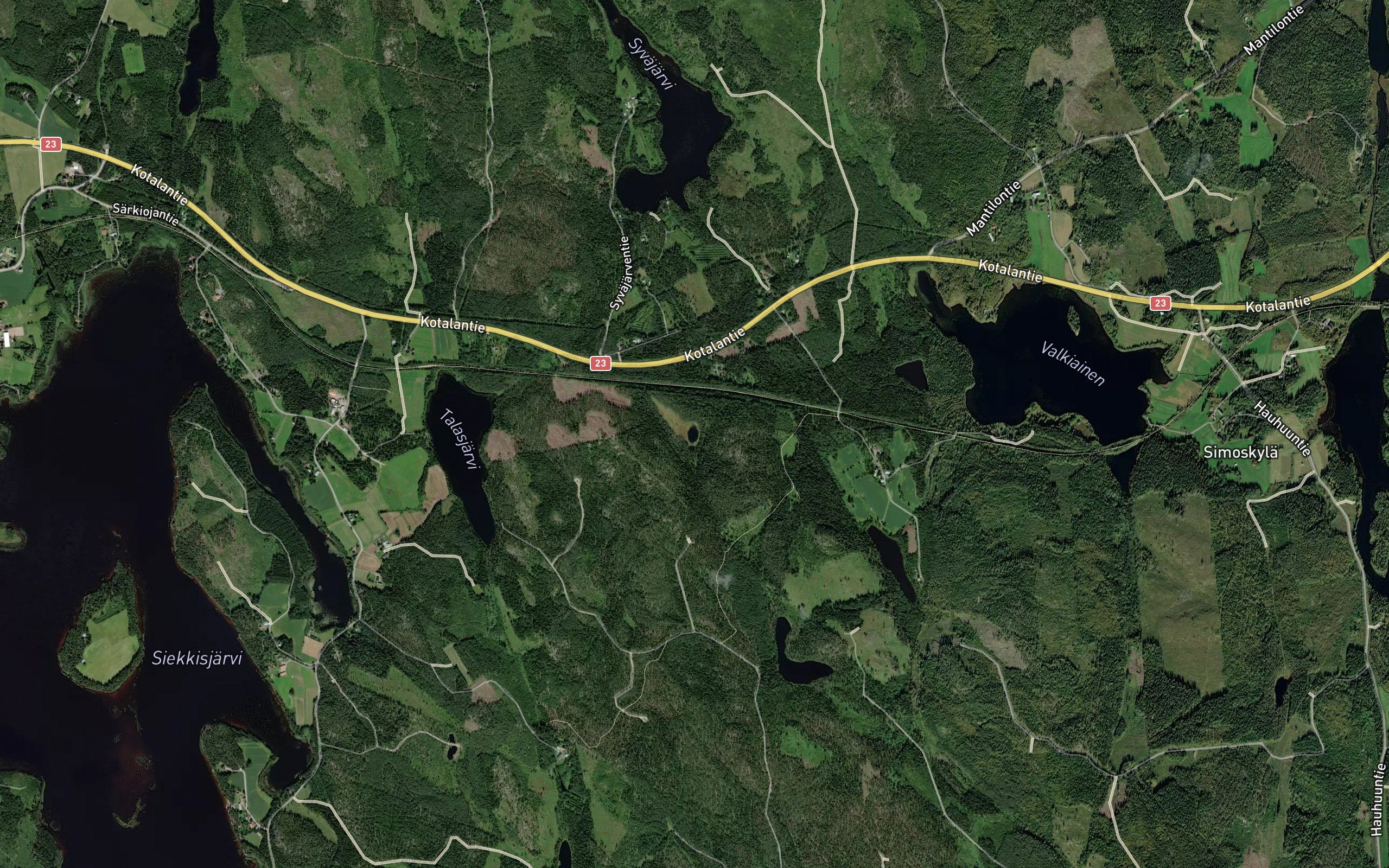 Soininlammi