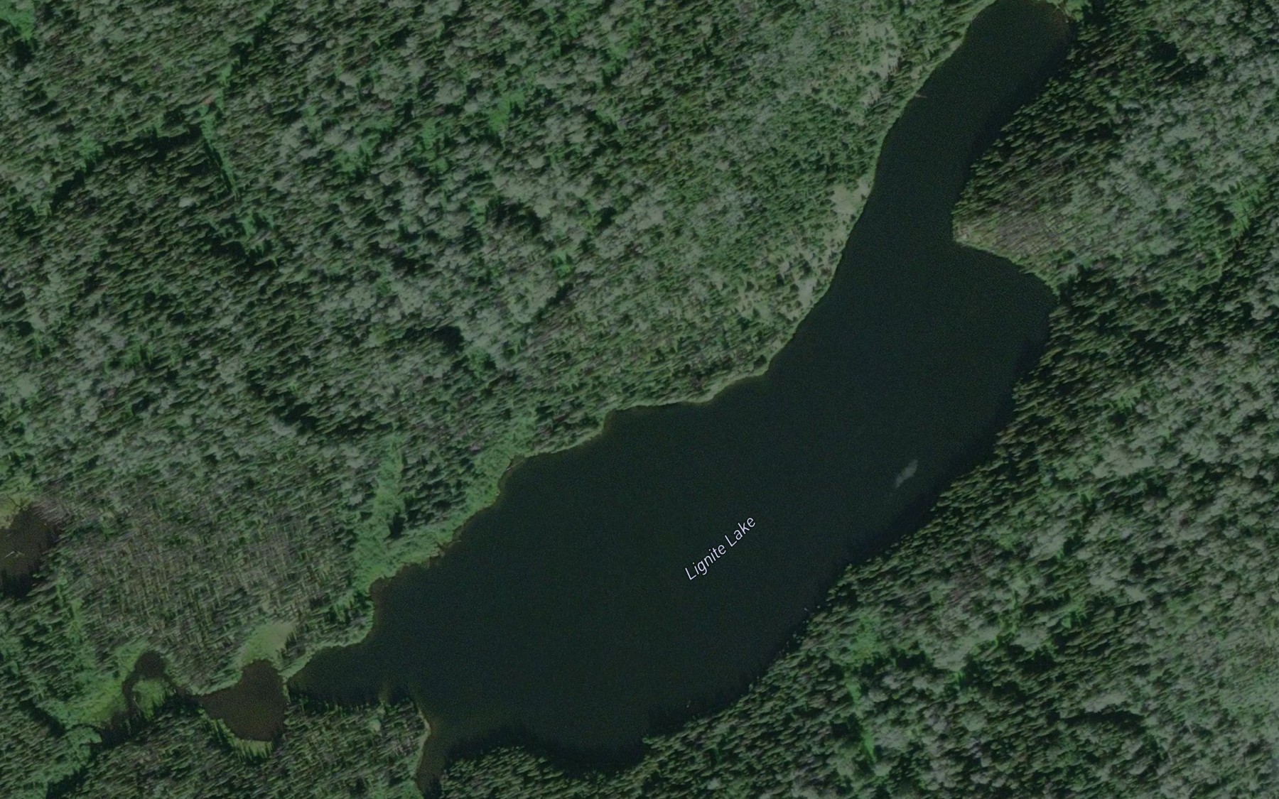 Satellite map of the Lignite Lake