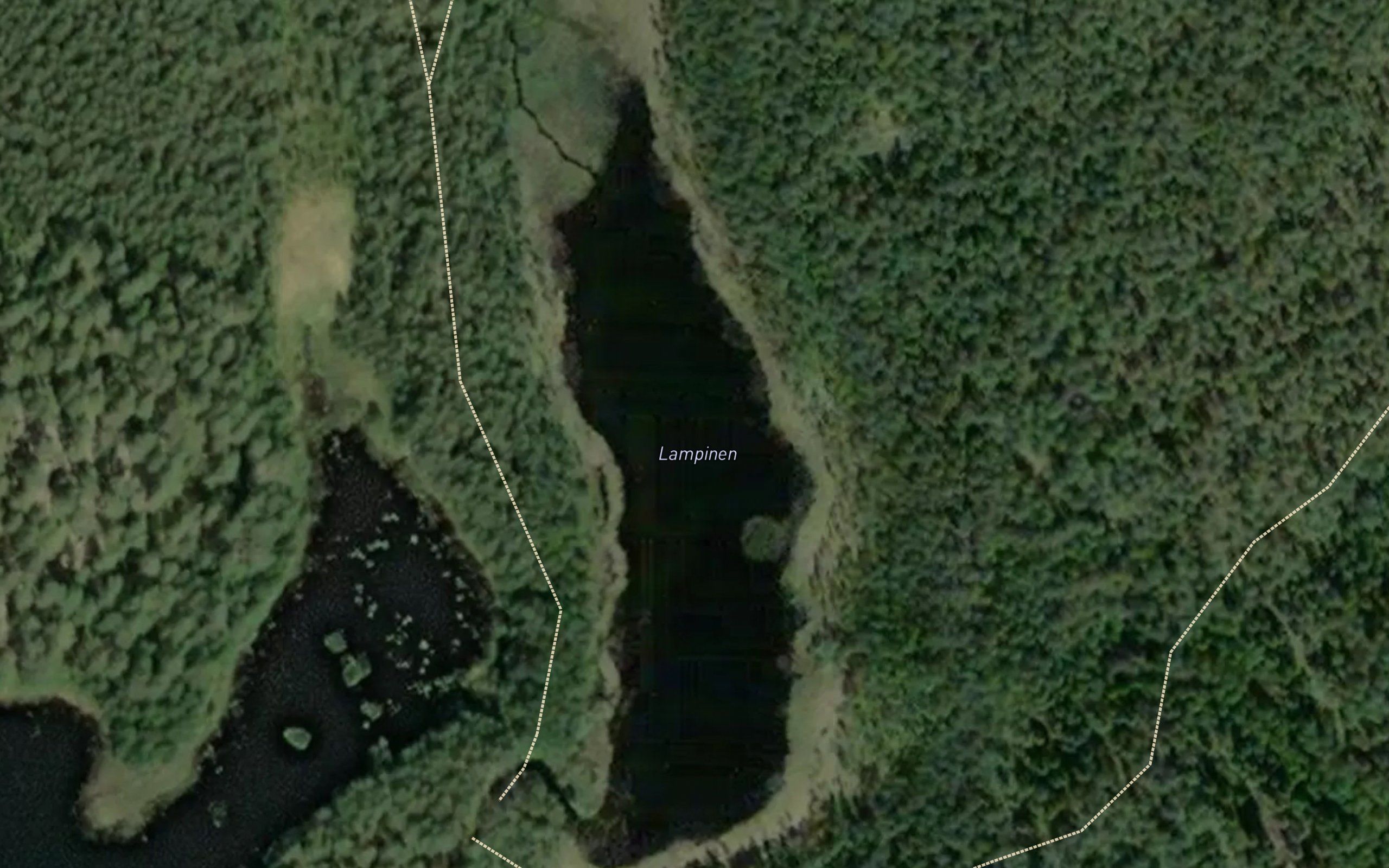 Lampinen
