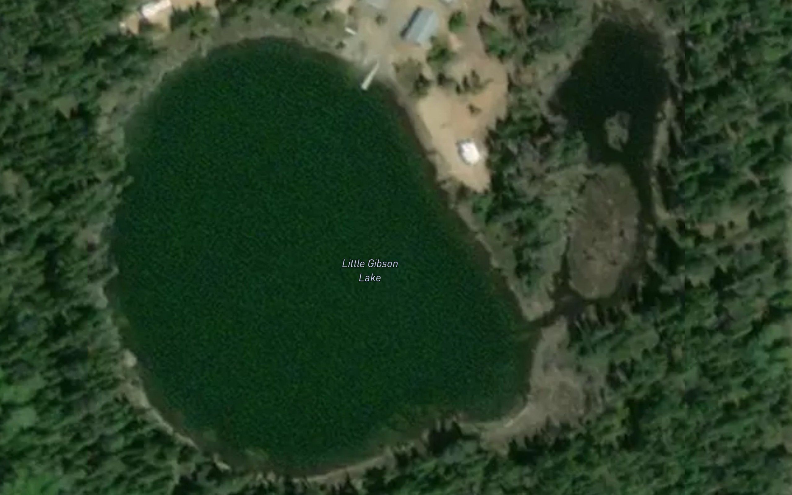 Little Gibson Lake
