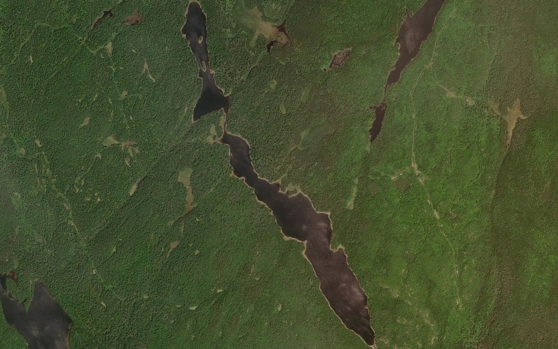 Satellite map of the Harvey Lake