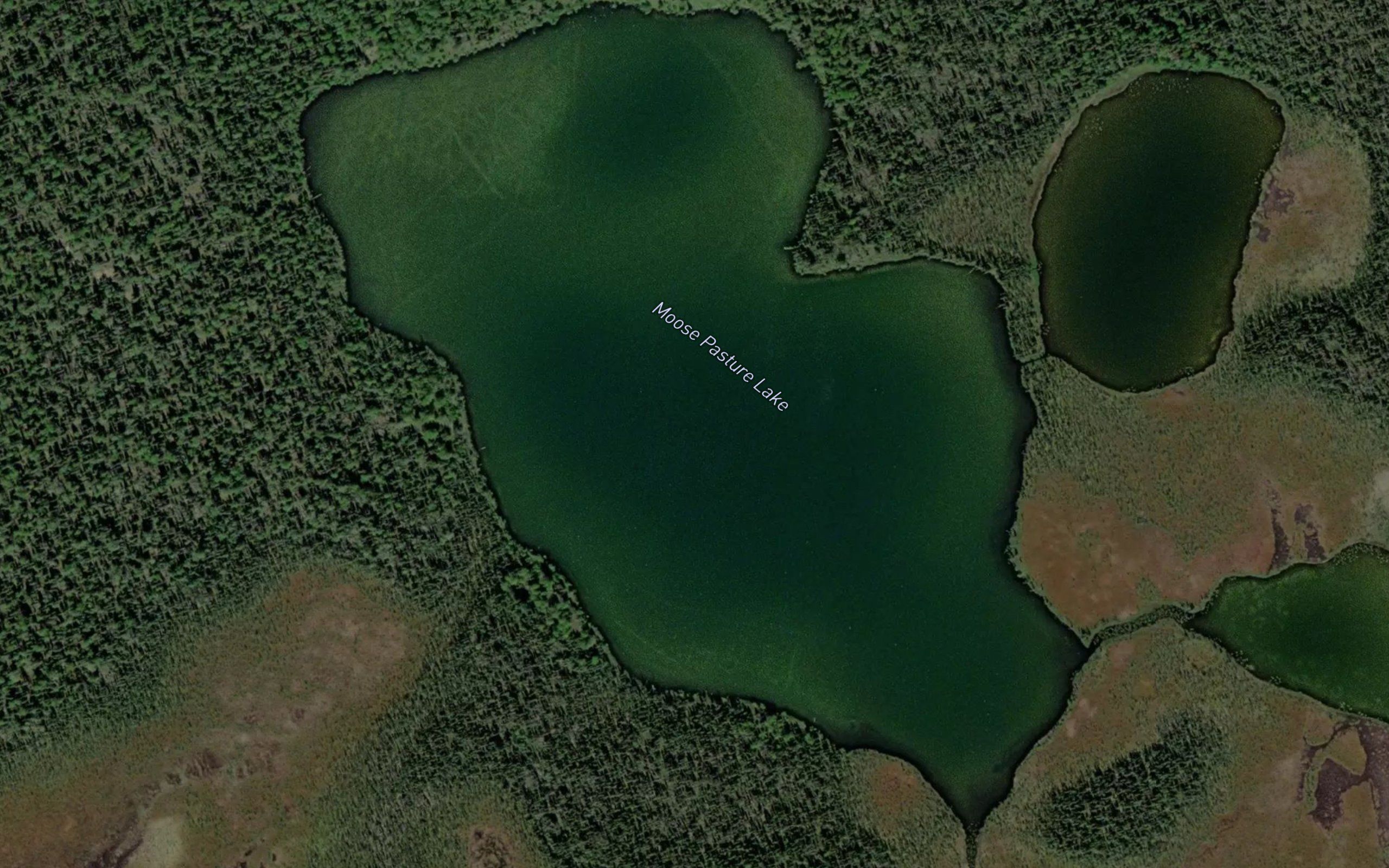 Moose Pasture Lake