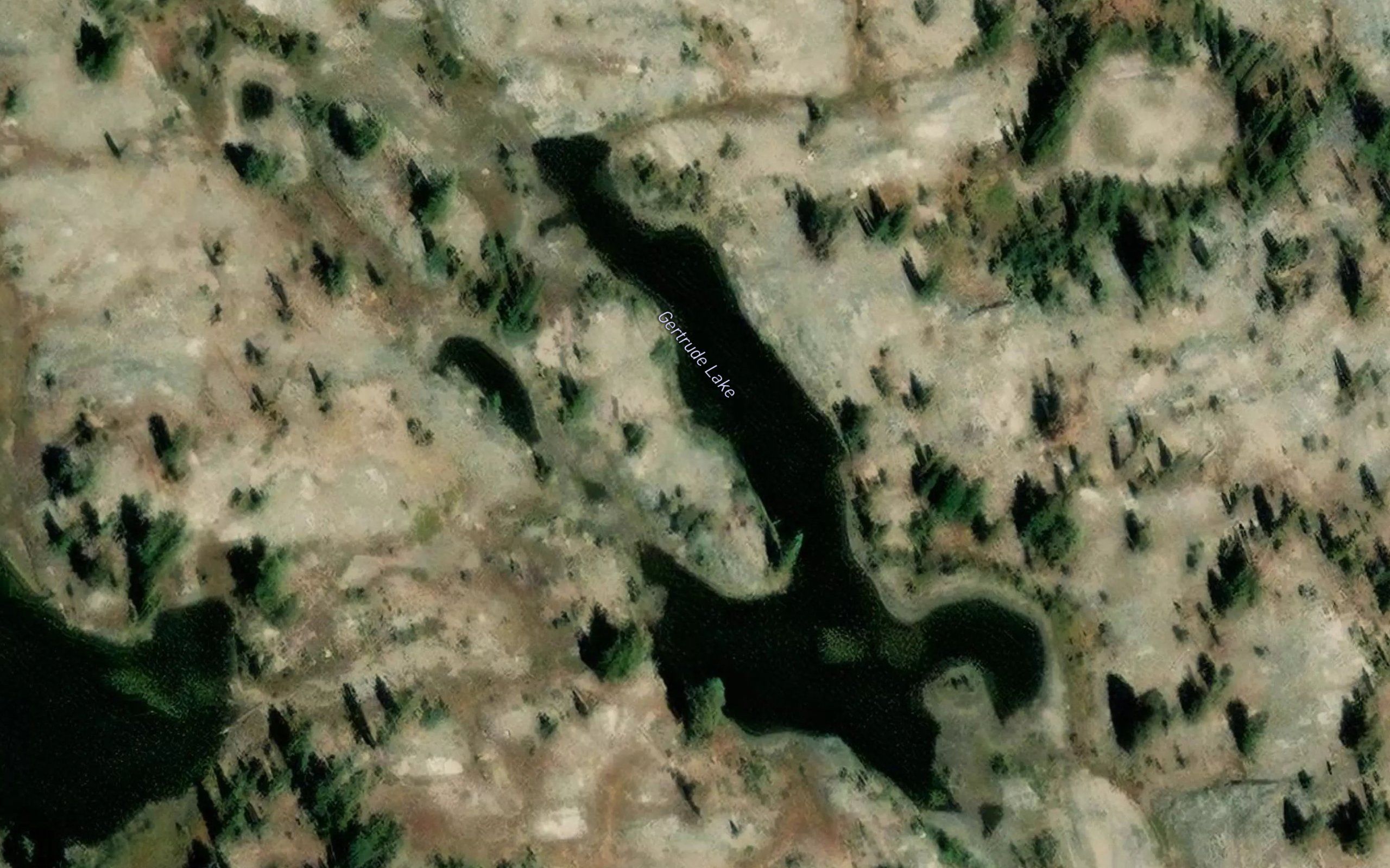 Gertrude Lake