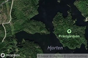 Hjorten
