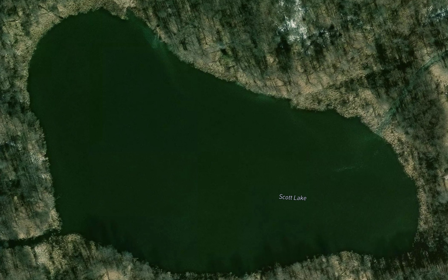 Satellite map of the Scott Lake
