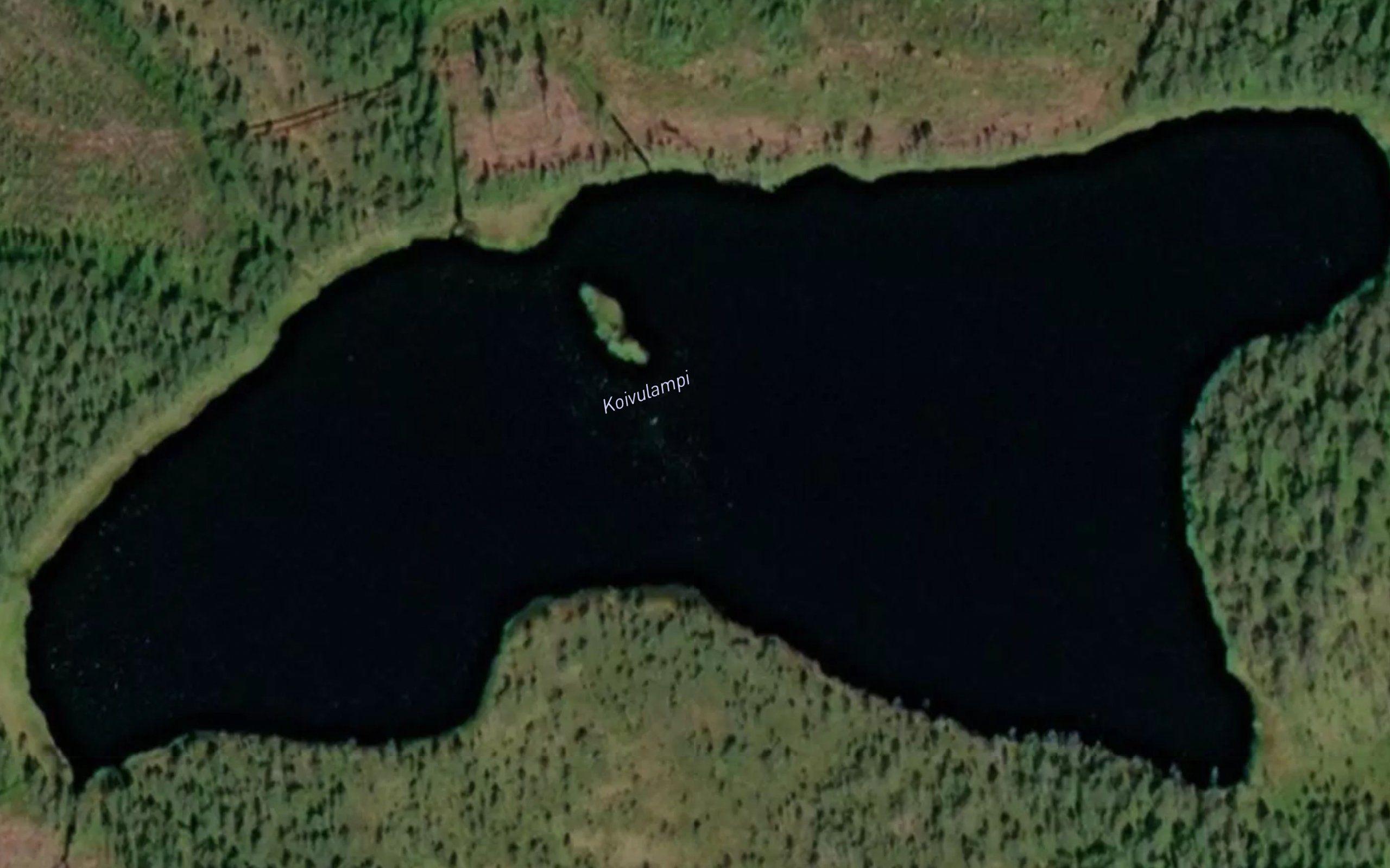Koivulampi