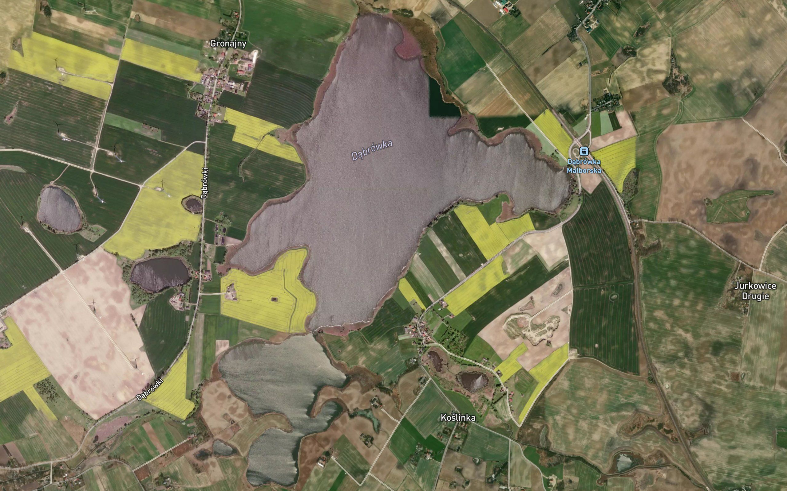 Jezioro Dabrowka