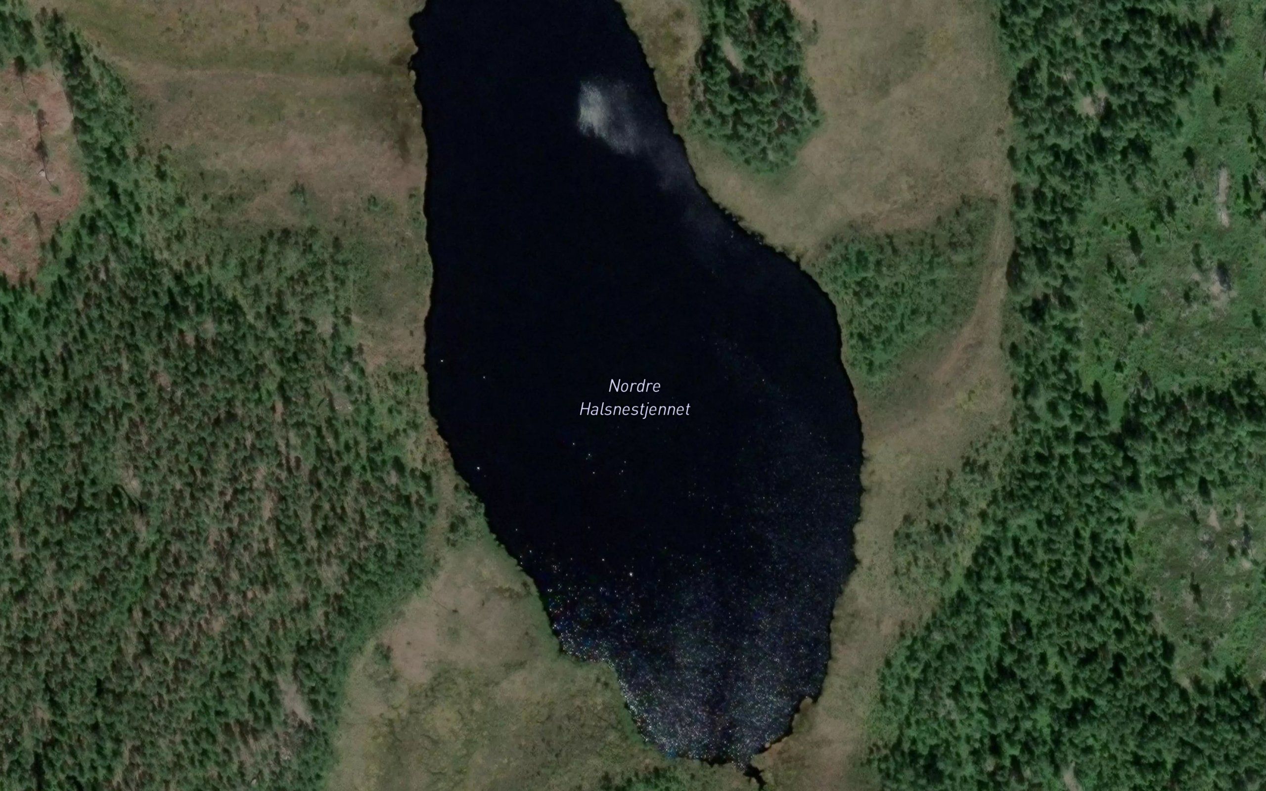 Halsnestjernet,nordre