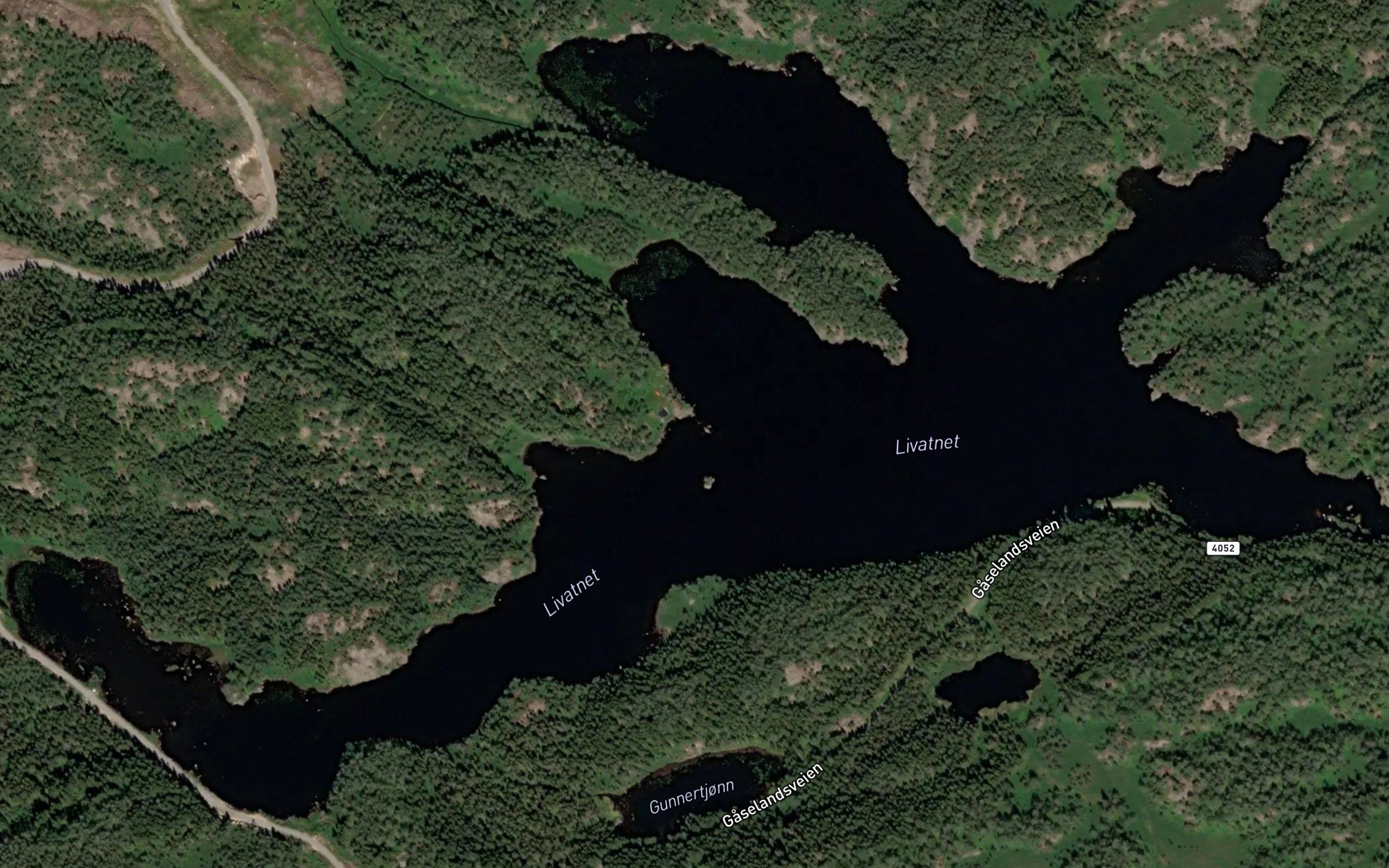 Livatnet