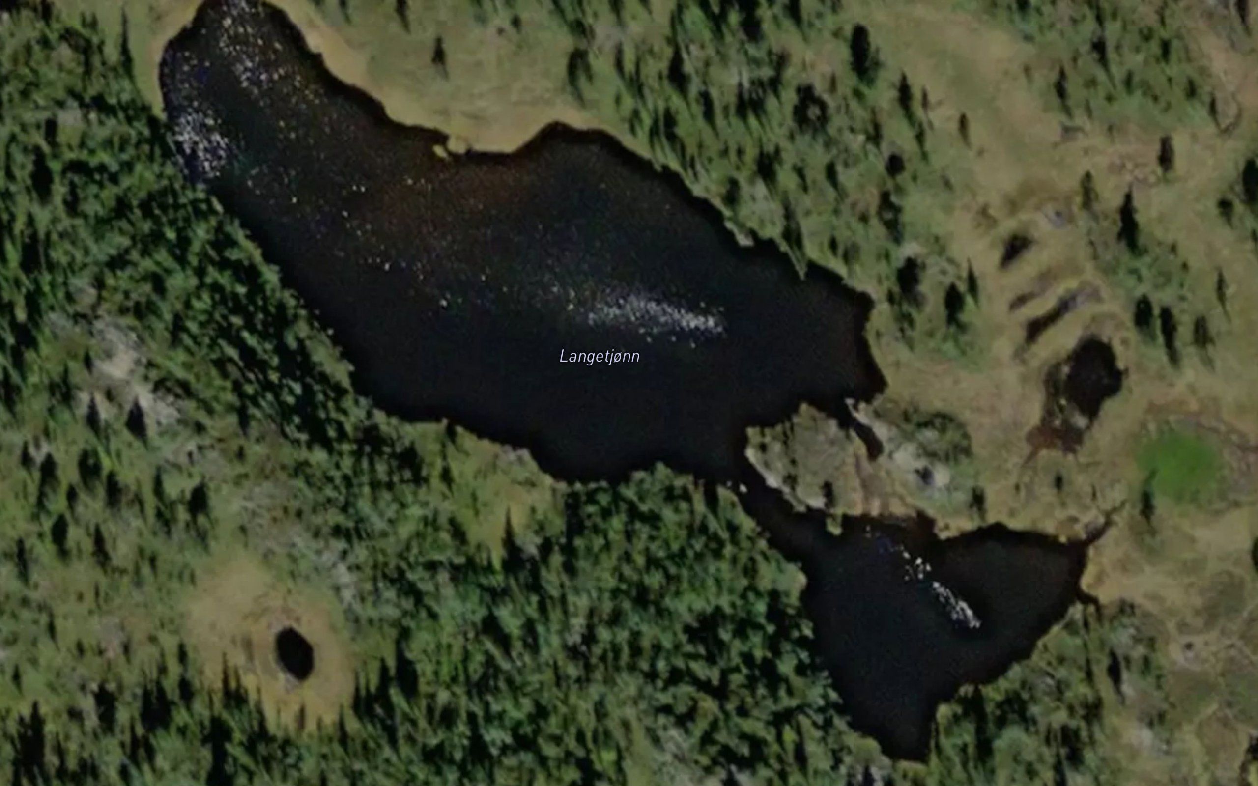 Langetjonn