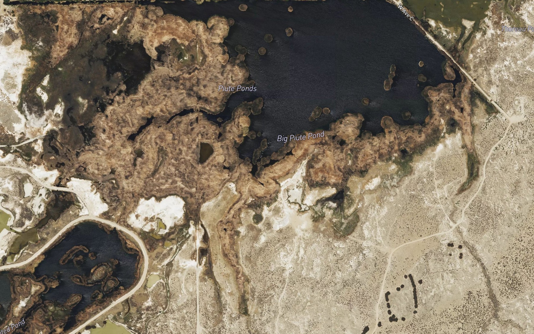 Satellite map of the Big Piute Pond