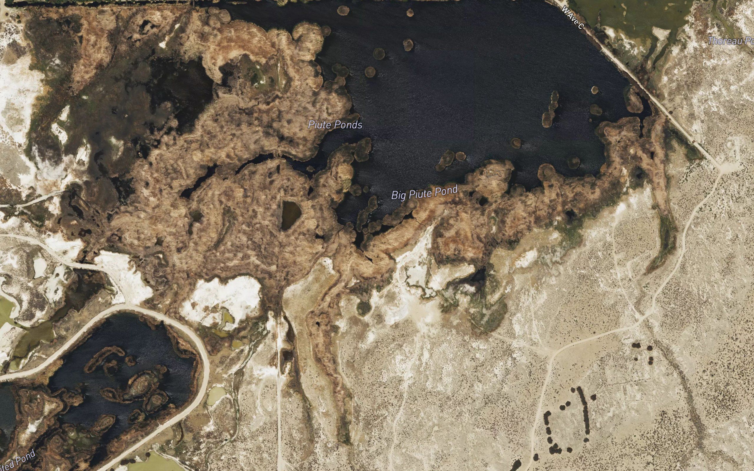 Big Piute Pond