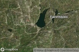 Fjarefittjonni