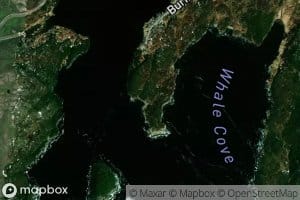 Pats Cove