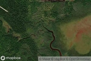 South Branch Otter Brook