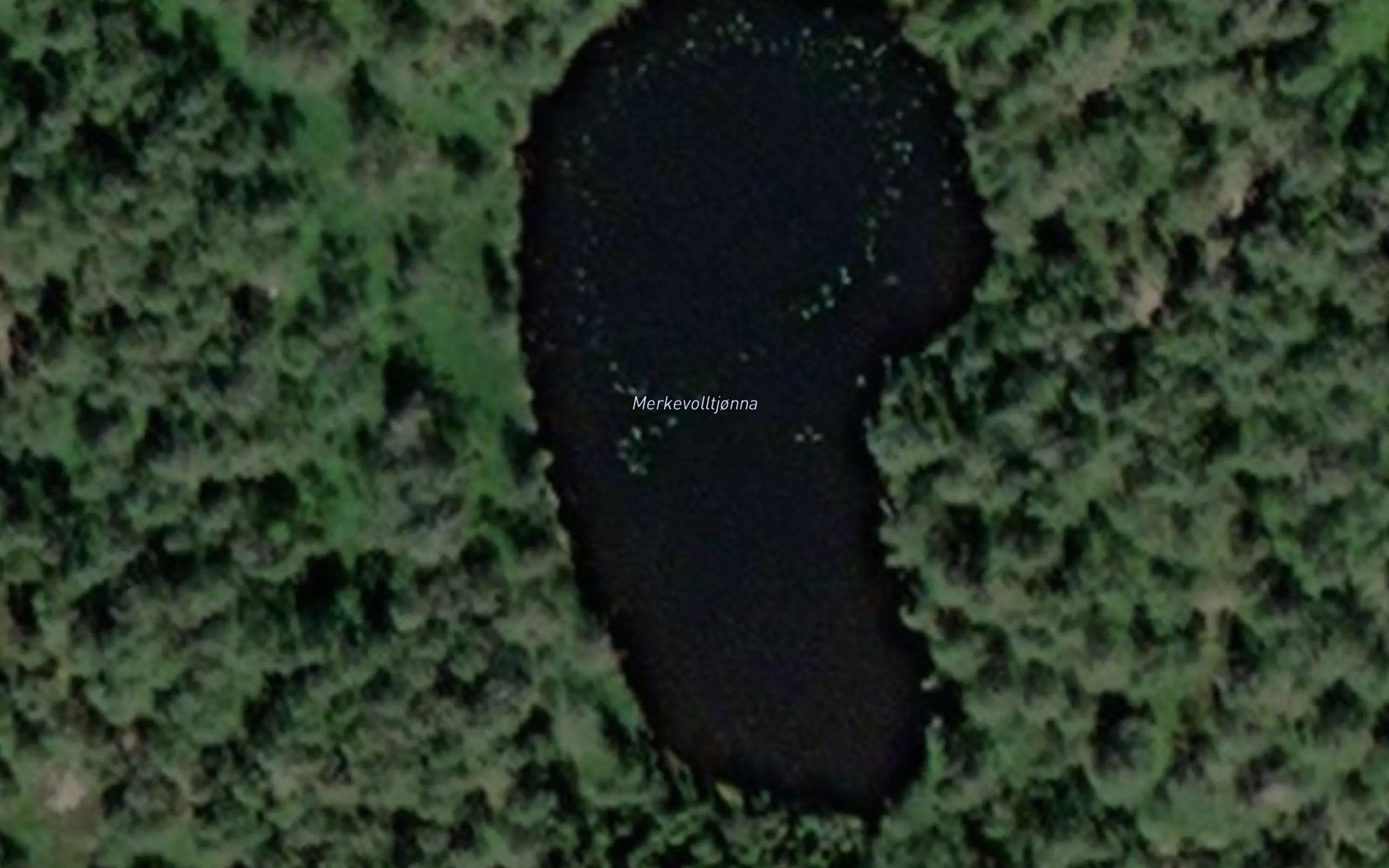 Merkevolltjonna
