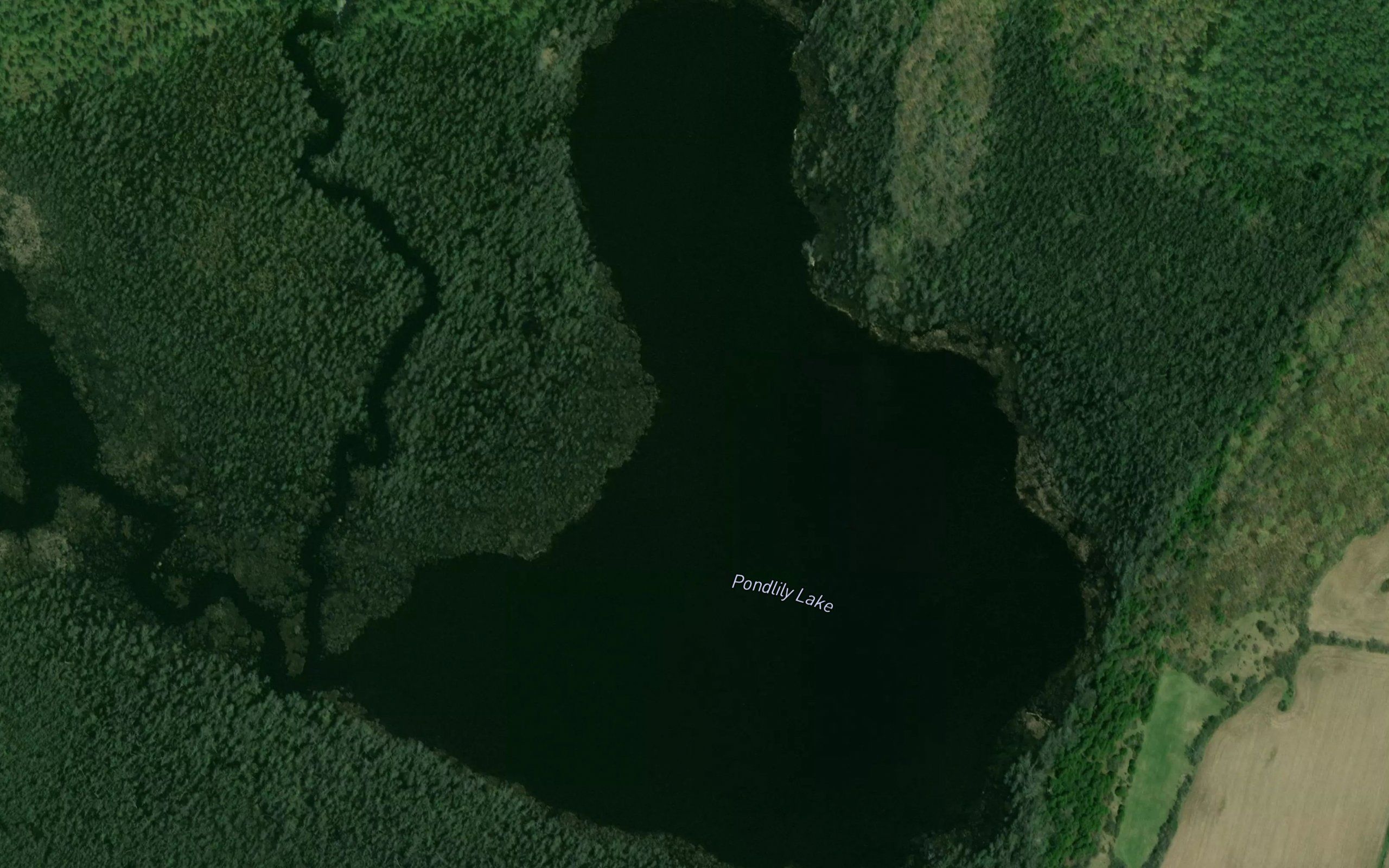 Pondlily Lake