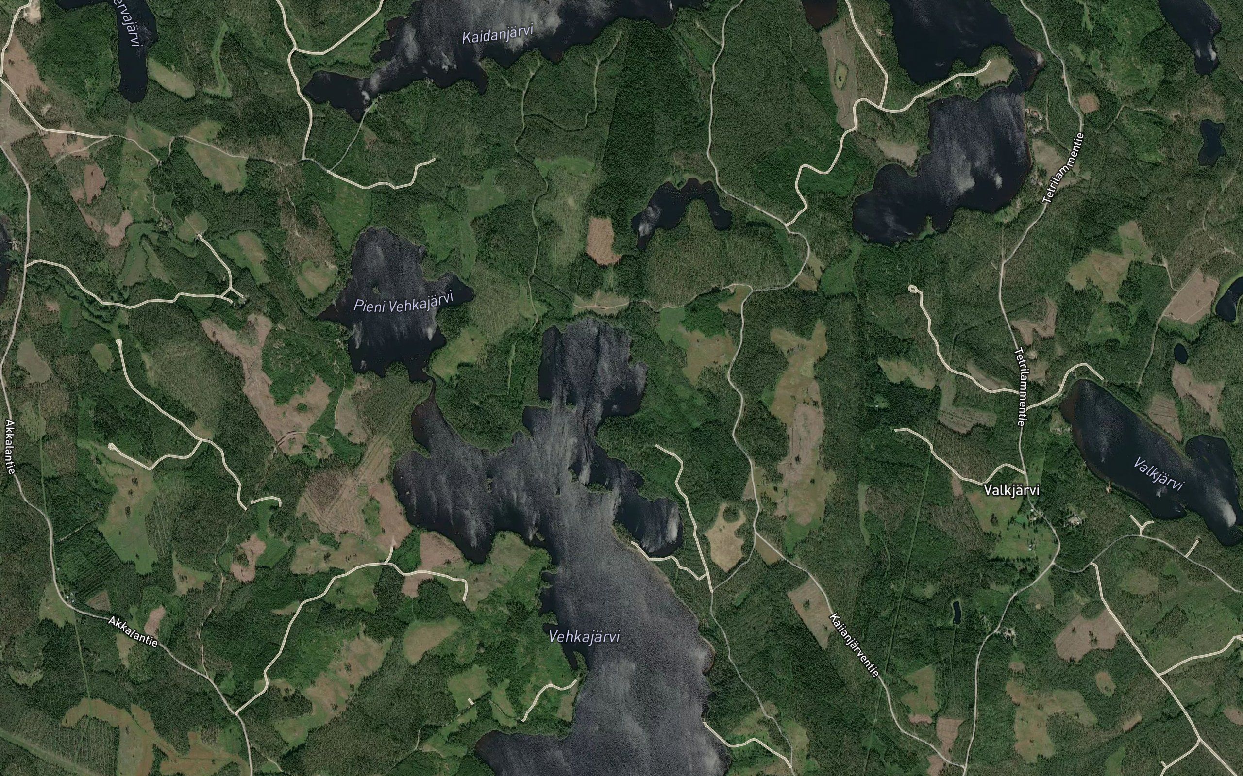 Pimialahti