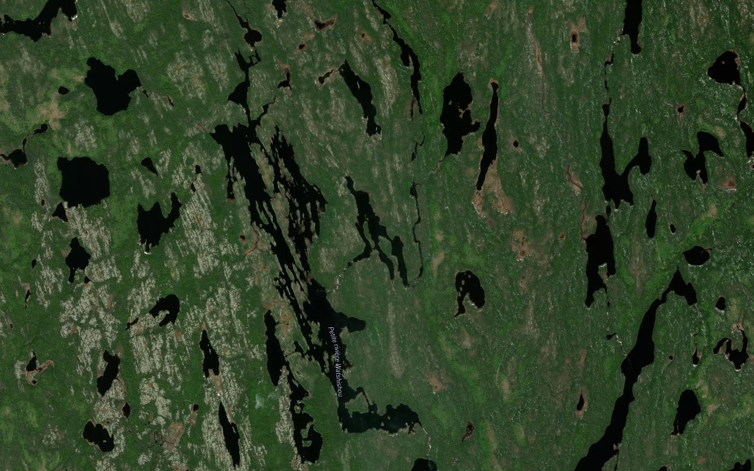 Lac Pieuvre