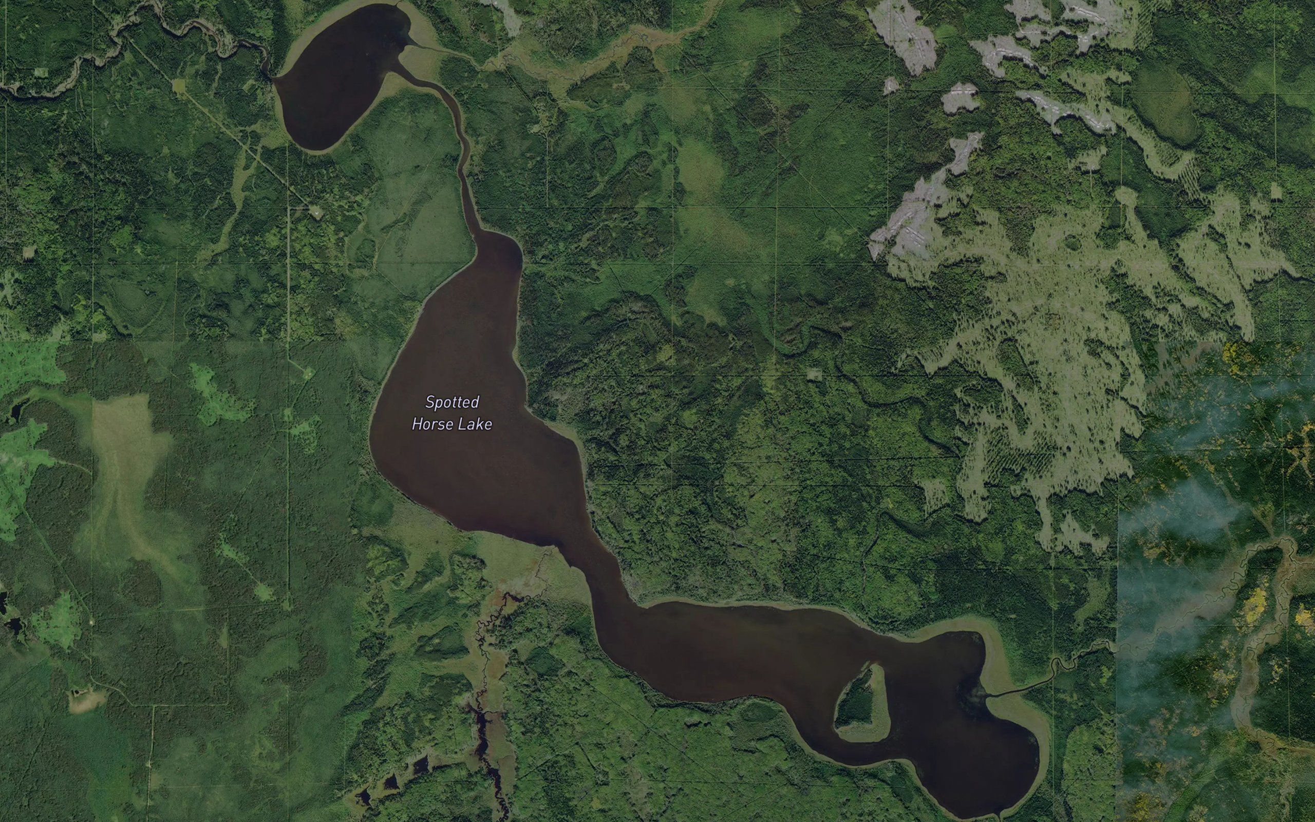 Spotted Horse Lake