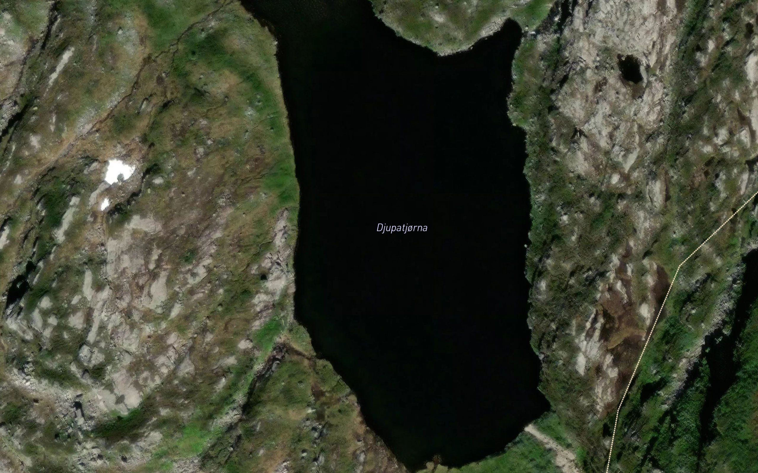 Djupatjorni
