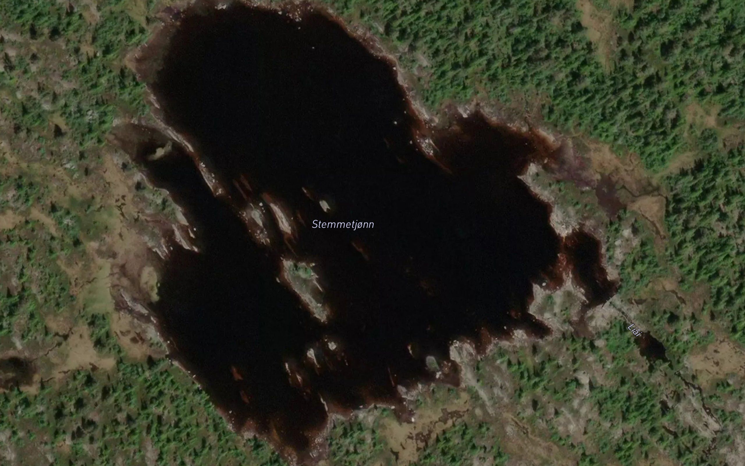 Stemtjorn