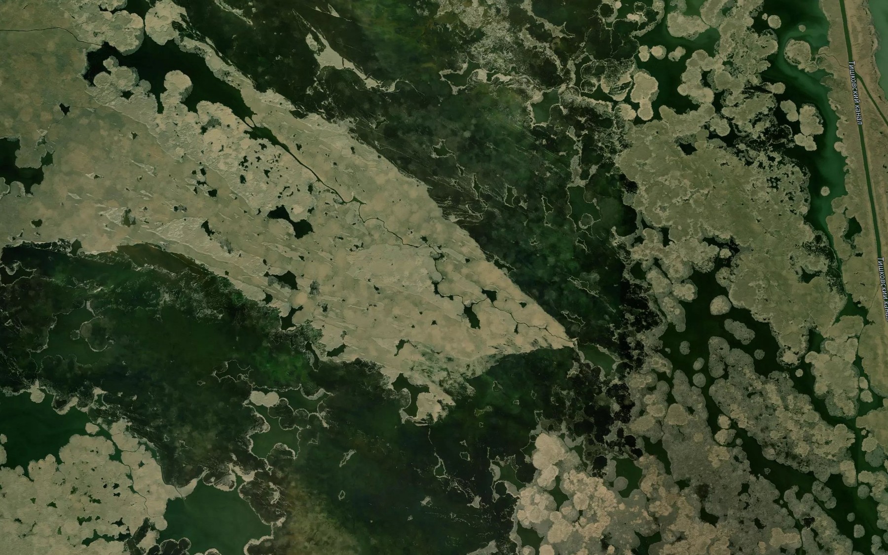 Satellite map of the Yerik Levaya Boldushka