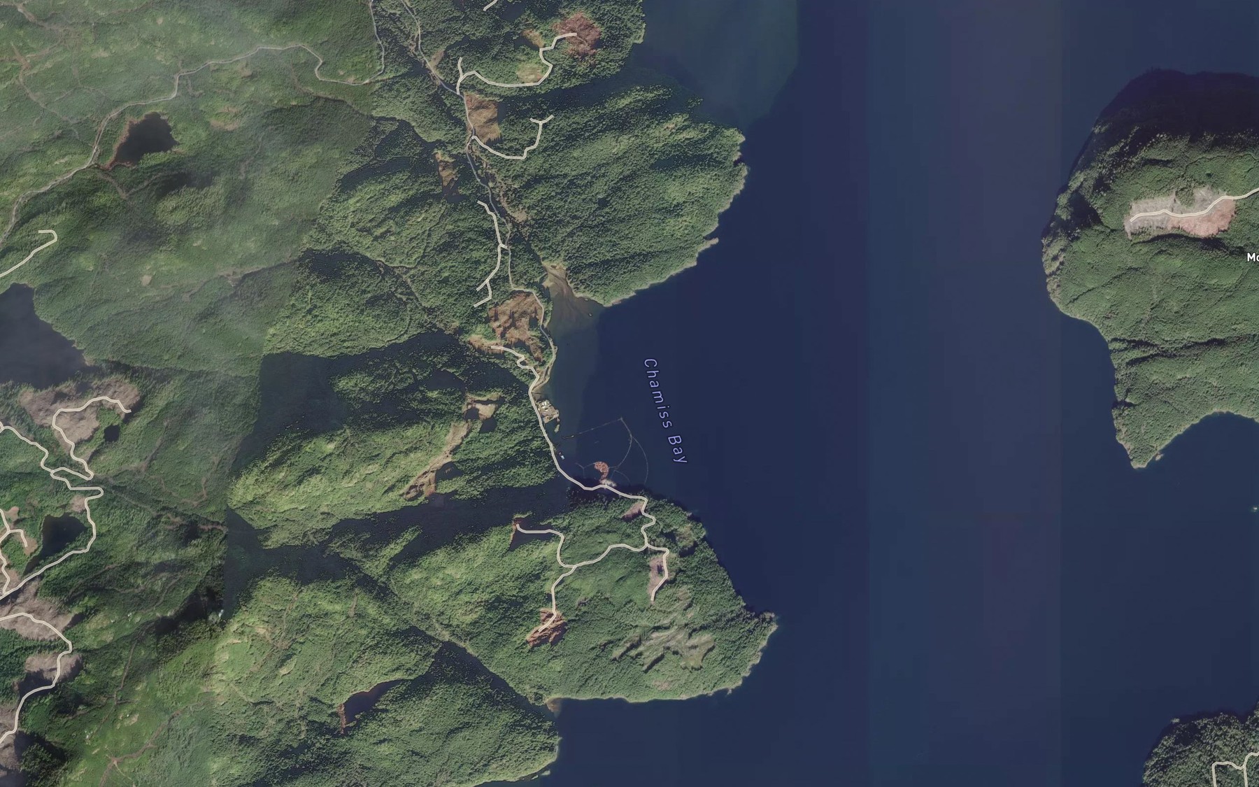 Satellite map of the Chamiss Bay