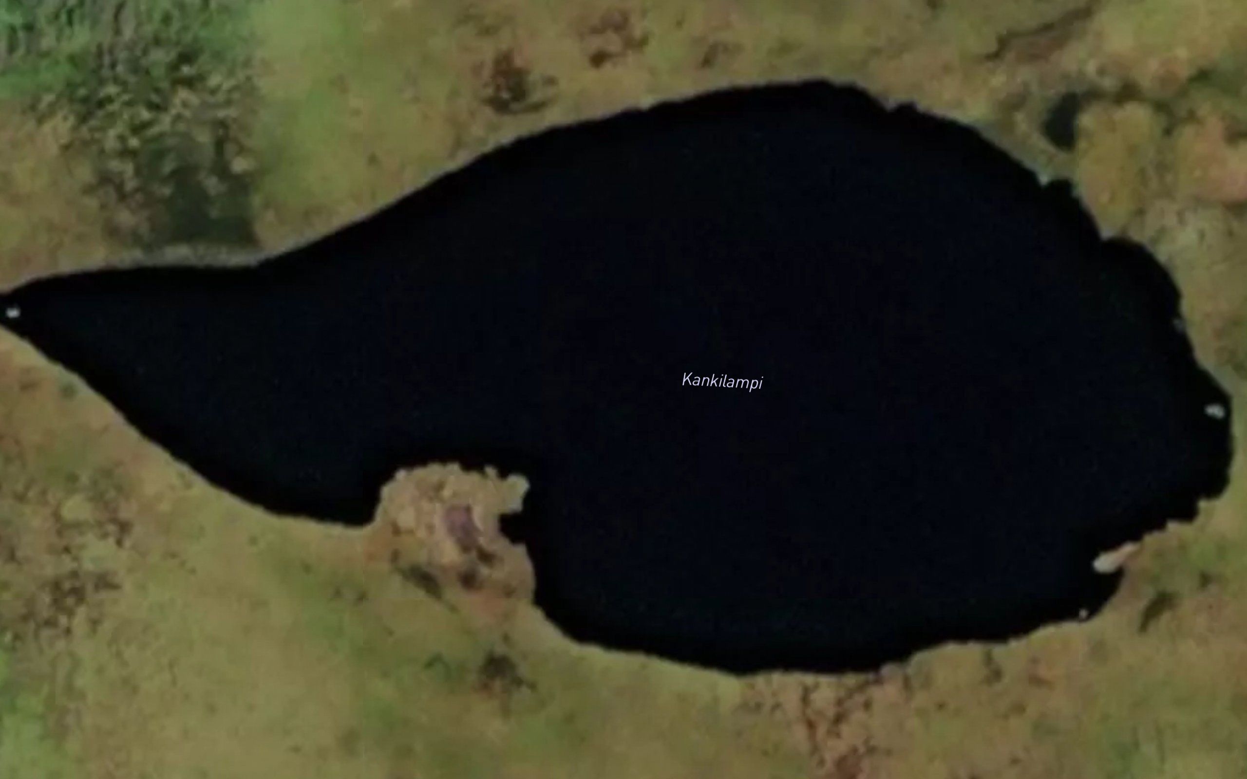Kankilampi