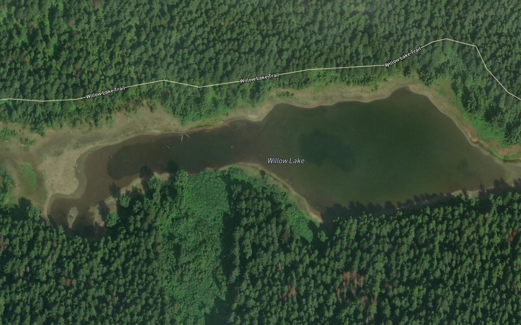 Satellite map of the Willow Lake