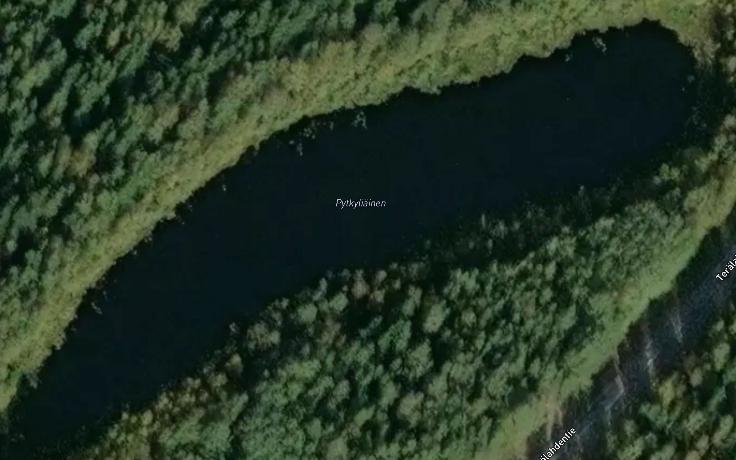 Pytkyliainen