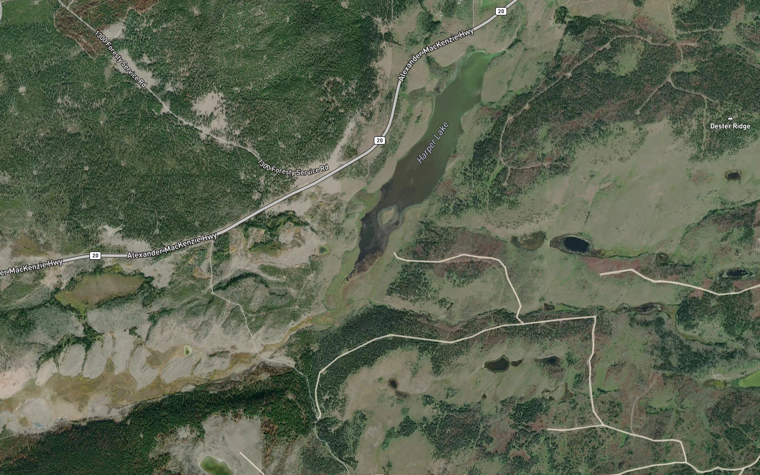 Thaddeus Creek