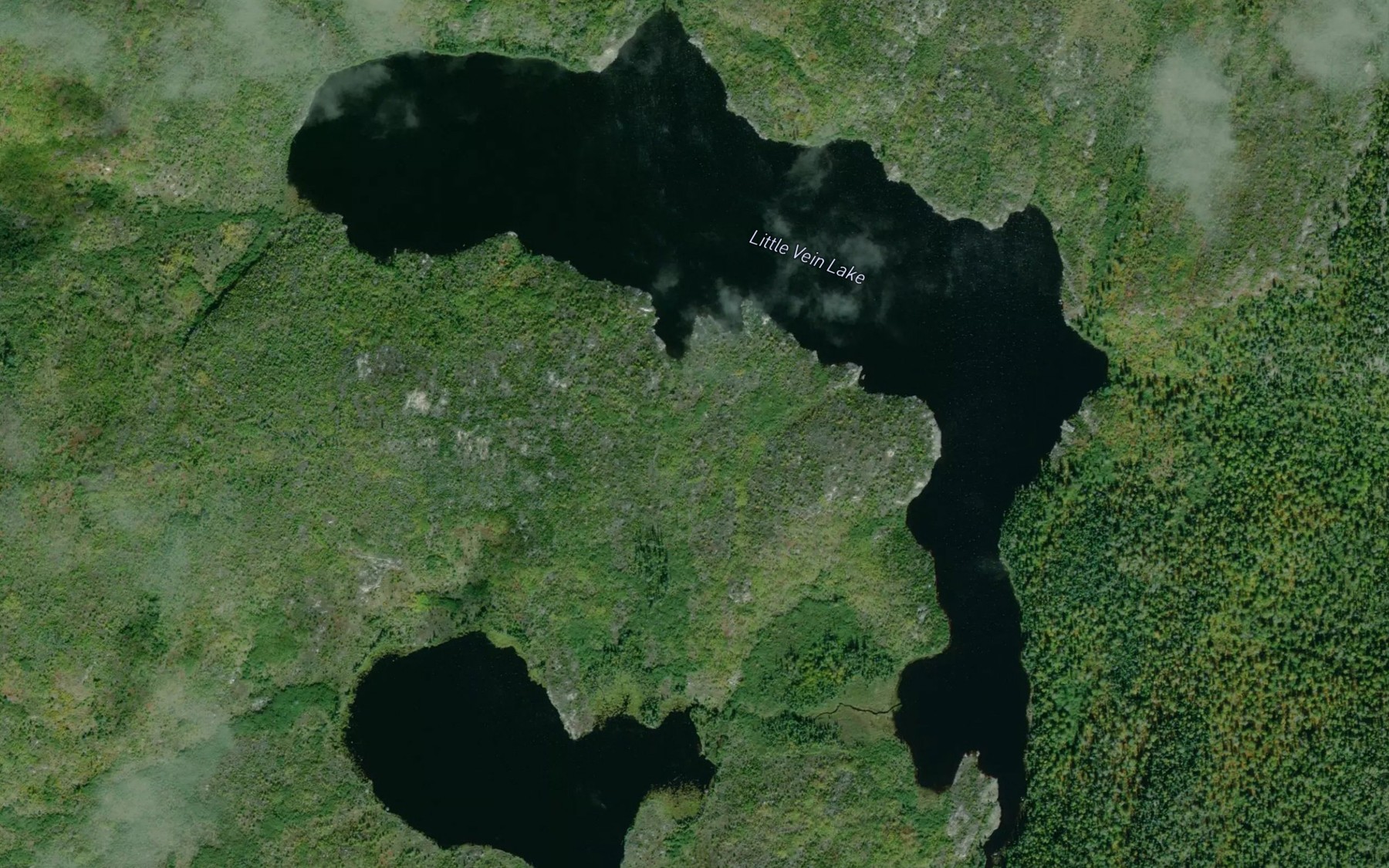 Satellite map of the Little Vein Lake