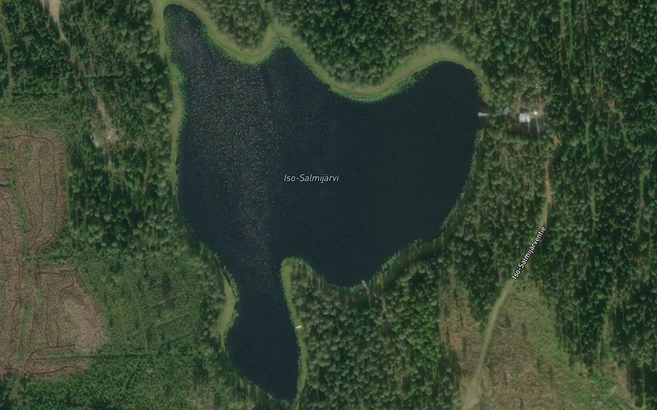 Iso Salmijarvi