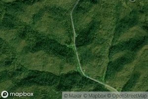 Handley Branch