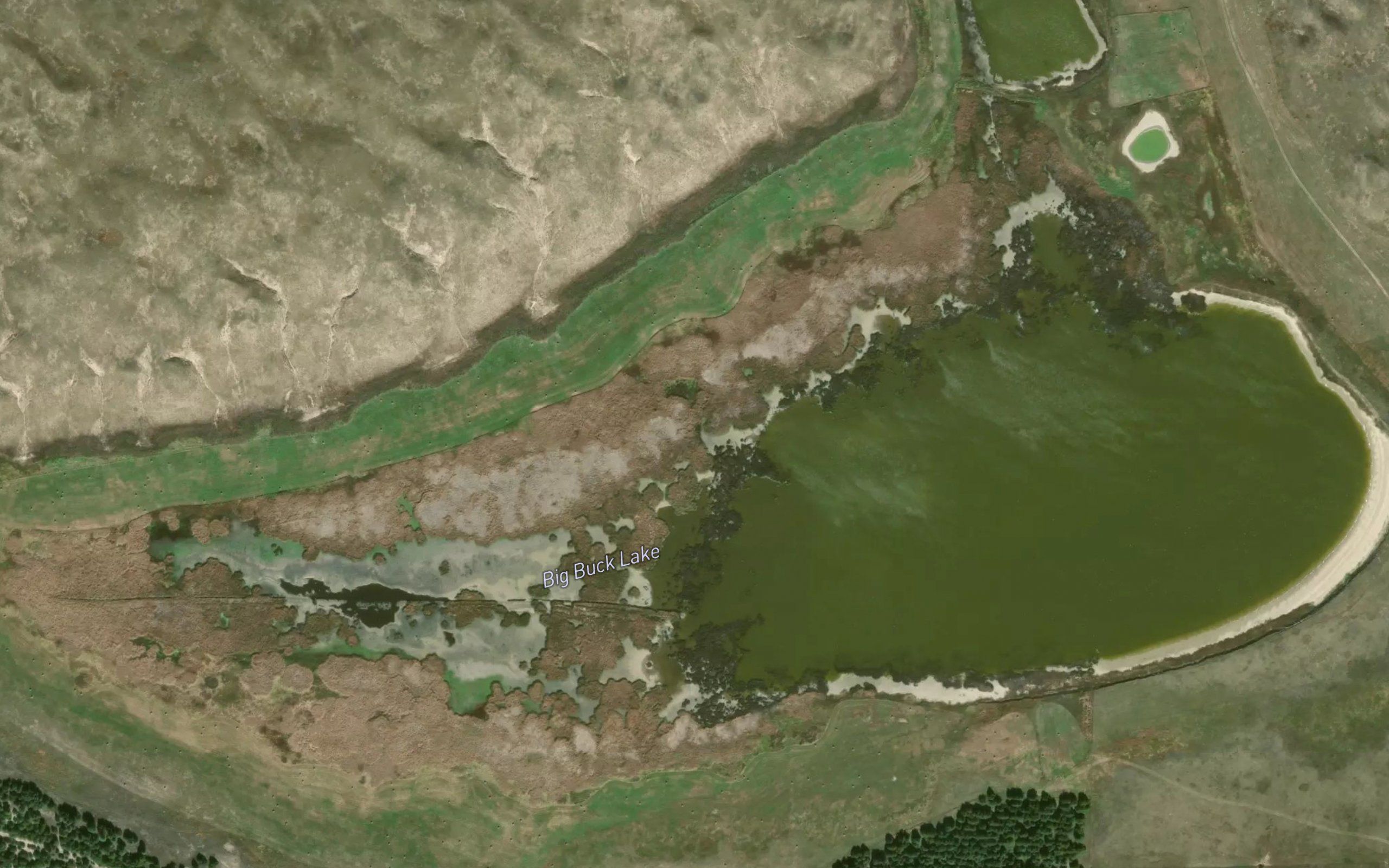 Big Buck Lake