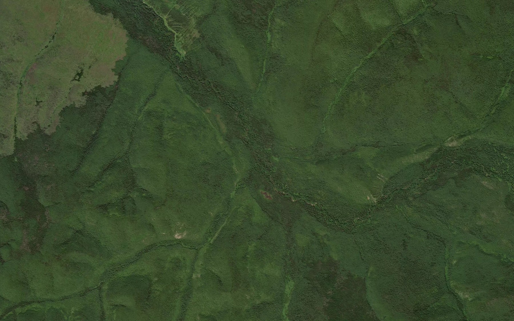 Satellite map of the Temnyy