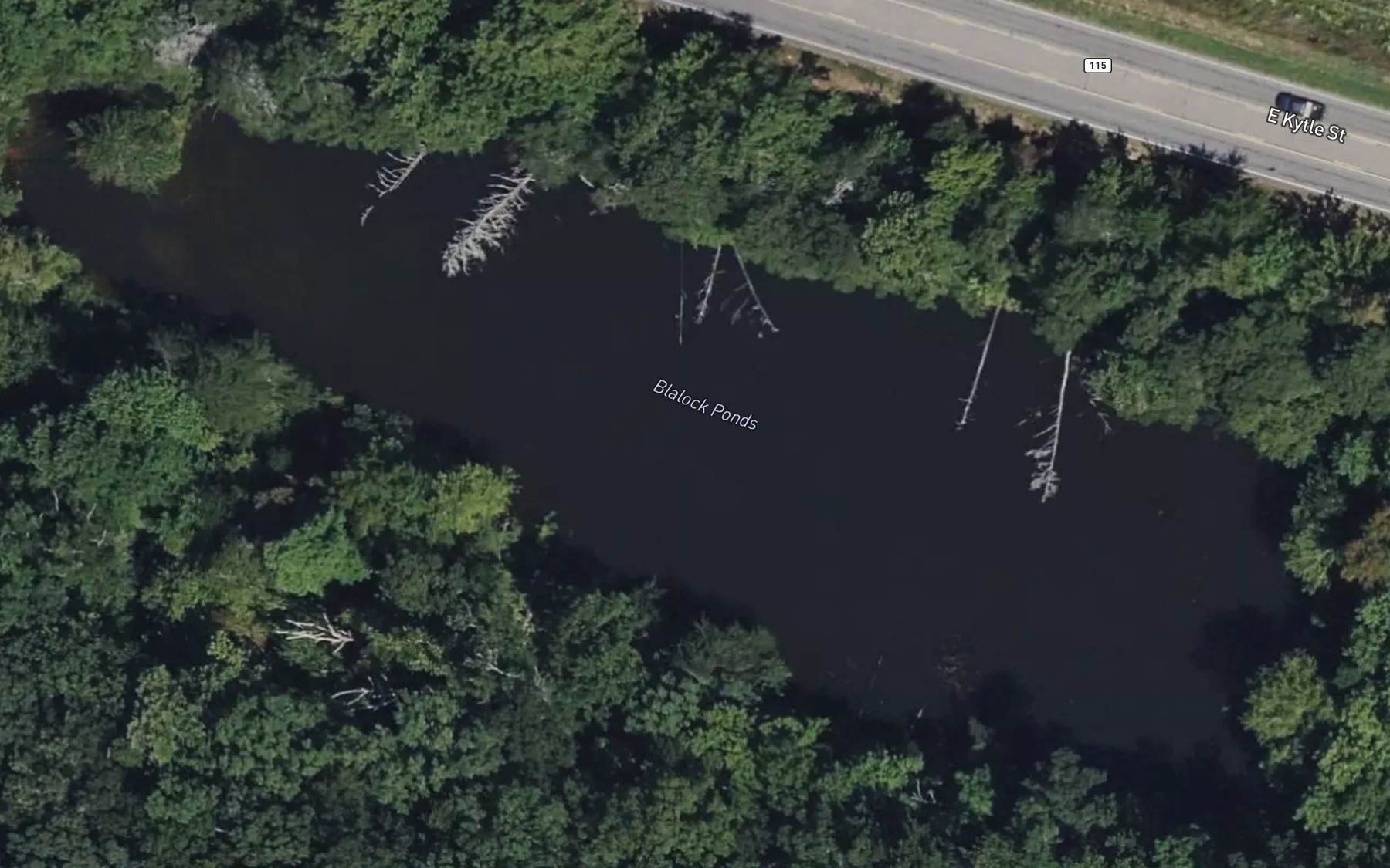 Satellite map of the Blalock Ponds