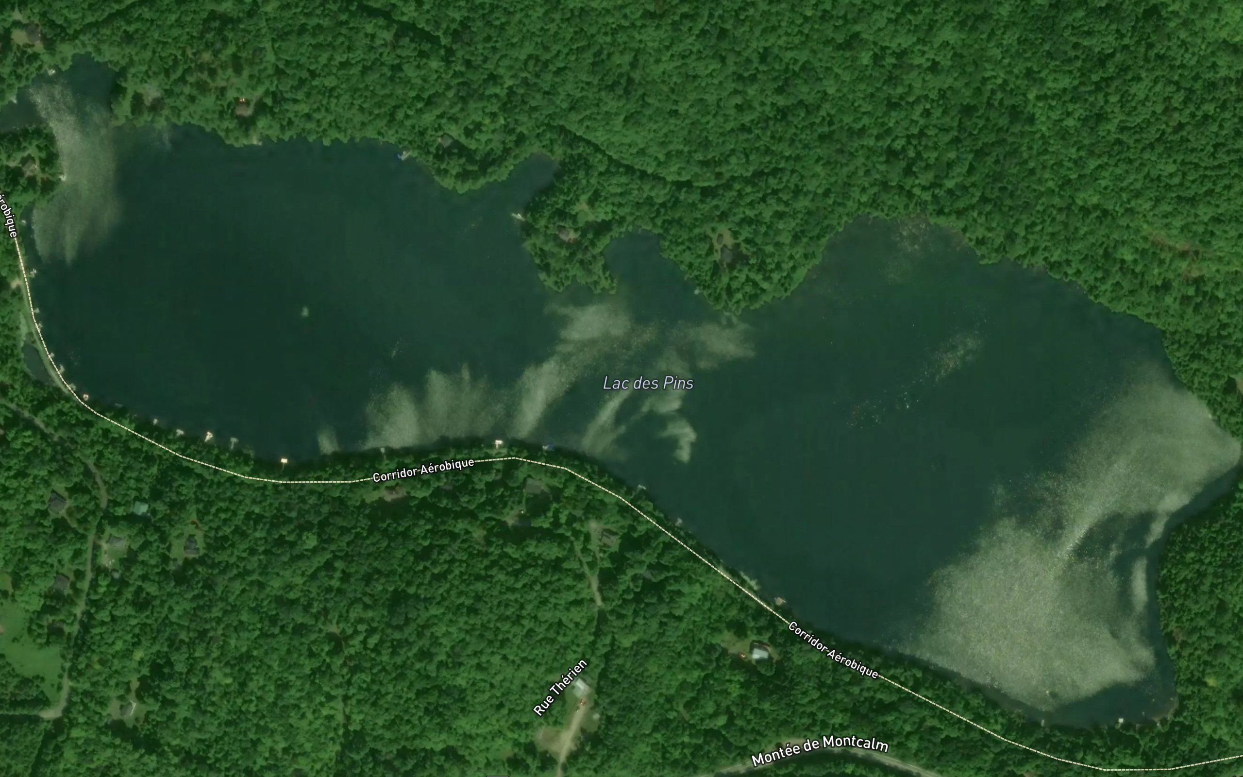 Lac des Pins