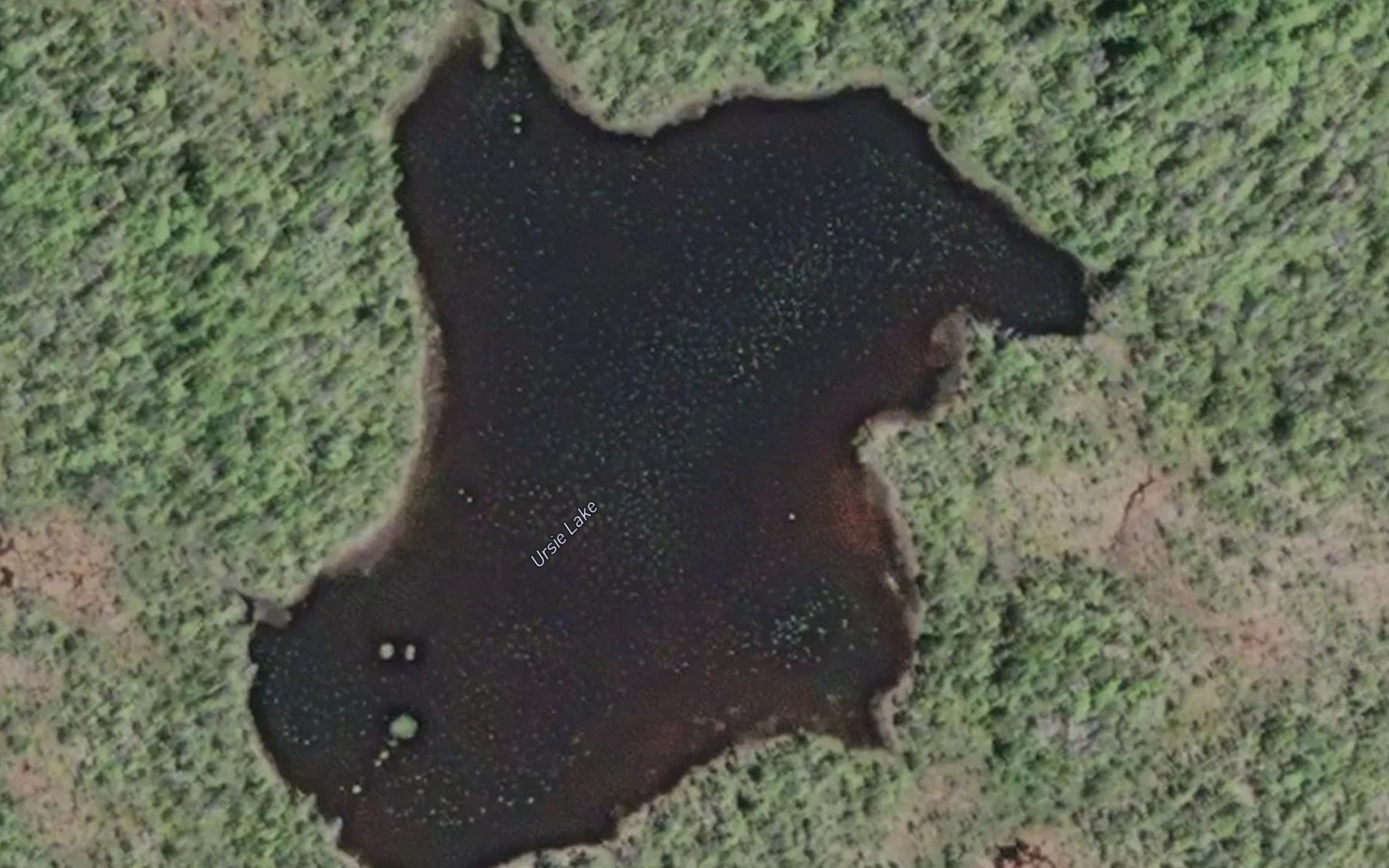 Satellite map of the Ursie Lake