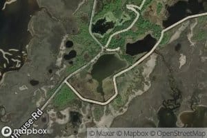 Picnic Pond