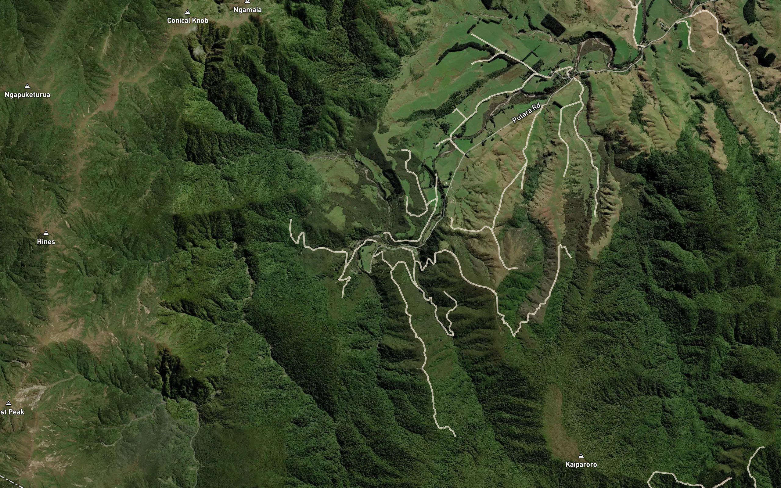 Ngamaia Stream