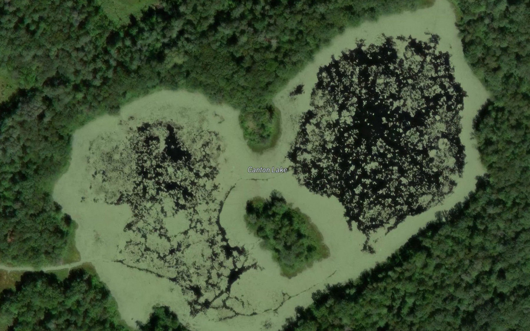 Satellite map of the Canton Lake